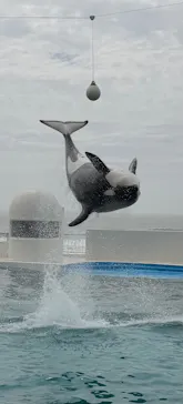 鴨川シーワールドに投稿された画像（2026/4/5）