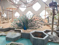 NIFREL（ニフレル）に投稿された画像（2026/4/5）