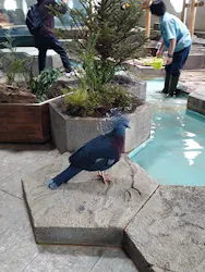 NIFREL（ニフレル）に投稿された画像（2026/4/5）