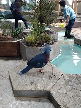 NIFREL（ニフレル）に投稿された画像（2026/4/5）