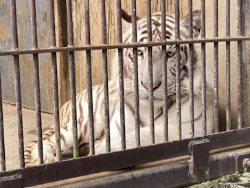 宇都宮動物園に投稿された画像（2026/4/5）