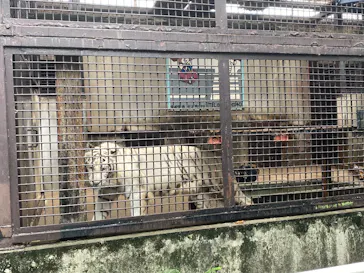 宇都宮動物園に投稿された画像（2026/4/5）