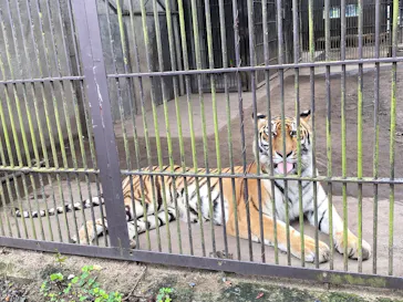 宇都宮動物園に投稿された画像（2026/4/5）