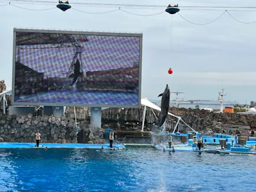 京都鉄道博物館に投稿された画像（2026/4/5）