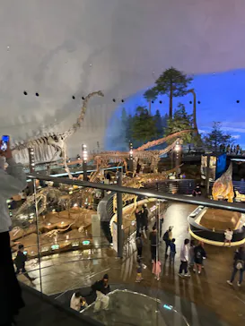 福井県立恐竜博物館に投稿された画像（2026/4/5）