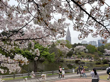 新宿御苑に投稿された画像（2026/4/5）