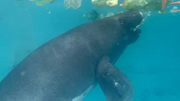 熱川バナナワニ園に投稿された画像（2026/4/5）