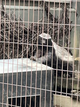 名古屋市東山動植物園に投稿された画像（2026/4/5）