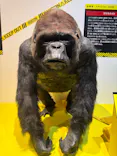 特別展「超危険生物展　科学で挑む生き物の本気」に投稿された画像（2026/4/5）