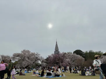新宿御苑に投稿された画像（2026/4/5）
