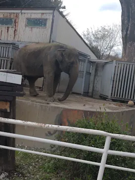 宇都宮動物園に投稿された画像（2026/4/5）