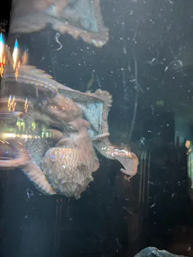 サンシャイン水族館に投稿された画像（2026/4/5）