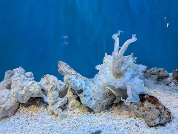 サンシャイン水族館に投稿された画像（2026/4/5）