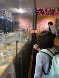 九十九島水族館海きららに投稿された画像（2026/4/5）