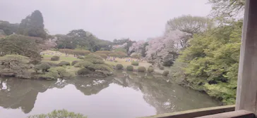 新宿御苑に投稿された画像（2026/4/5）