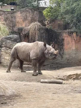天王寺動物園に投稿された画像（2026/4/5）