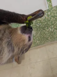 Moff animal world BIGHOPガーデンモール印西店に投稿された画像（2026/4/5）