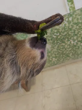 Moff animal world BIGHOPガーデンモール印西店に投稿された画像（2026/4/5）