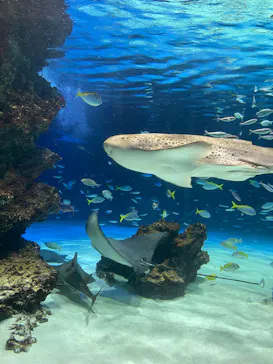 サンシャイン水族館に投稿された画像（2026/4/5）