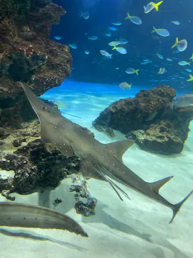 サンシャイン水族館に投稿された画像（2026/4/5）