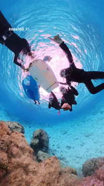 青の洞窟専門店　沖縄ダイビングショップ和に投稿された画像（2026/4/5）