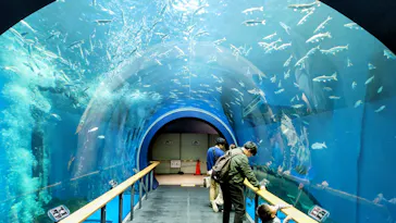 滋賀県立琵琶湖博物館に投稿された画像（2026/4/5）