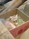 こども動物自然公園（埼玉県公園緑地協会）に投稿された画像（2026/4/5）