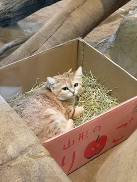 こども動物自然公園（埼玉県公園緑地協会）に投稿された画像（2026/4/5）