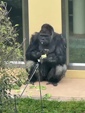 名古屋市東山動植物園に投稿された画像（2026/4/5）