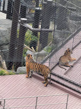 名古屋市東山動植物園に投稿された画像（2026/4/5）