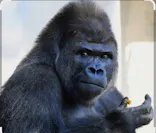 名古屋市東山動植物園に投稿された画像（2026/4/5）