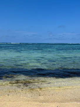 沖縄美ら海水族館に投稿された画像（2026/4/5）