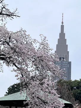 新宿御苑に投稿された画像（2026/4/5）