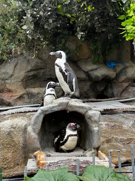 サンシャイン水族館に投稿された画像（2026/4/5）