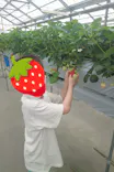 東松山市農林公園に投稿された画像（2026/4/5）