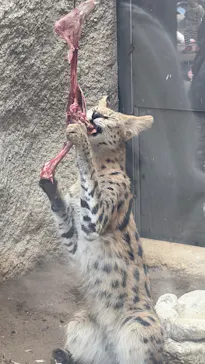 神戸どうぶつ王国に投稿された画像（2026/4/5）