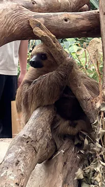 神戸どうぶつ王国に投稿された画像（2026/4/5）