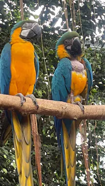 神戸どうぶつ王国に投稿された画像（2026/4/5）