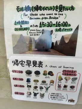 長崎バイオパークに投稿された画像（2026/4/5）