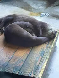 箱根園水族館に投稿された画像（2026/4/5）
