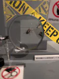 特別展「超危険生物展　科学で挑む生き物の本気」に投稿された画像（2026/4/5）