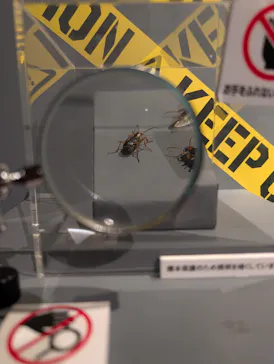 特別展「超危険生物展　科学で挑む生き物の本気」に投稿された画像（2026/4/5）