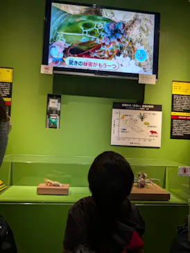 特別展「超危険生物展　科学で挑む生き物の本気」に投稿された画像（2026/4/5）