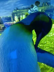 島根県立 しまね海洋館に投稿された画像（2026/4/5）