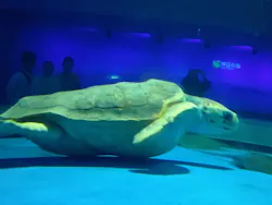 島根県立 しまね海洋館に投稿された画像（2026/4/5）