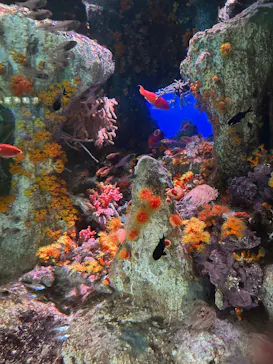 サンシャイン水族館に投稿された画像（2026/4/5）