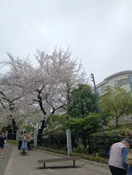 アソビュー！ポイントに投稿された画像（2026/4/5）