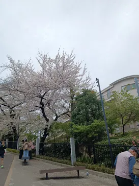 アソビュー！ポイントに投稿された画像（2026/4/5）