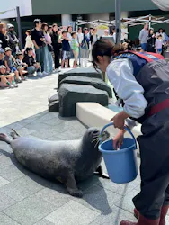 大分マリーンパレス水族館 「うみたまご」に投稿された画像（2026/4/5）