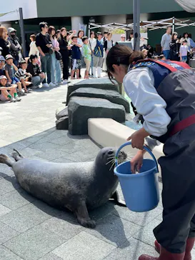 大分マリーンパレス水族館 「うみたまご」に投稿された画像（2026/4/5）